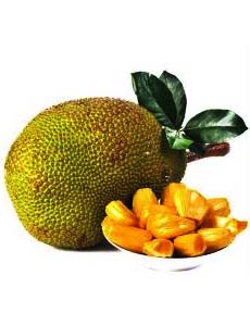 jackfruit 2